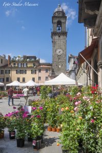 bancarelfiore_2017_01