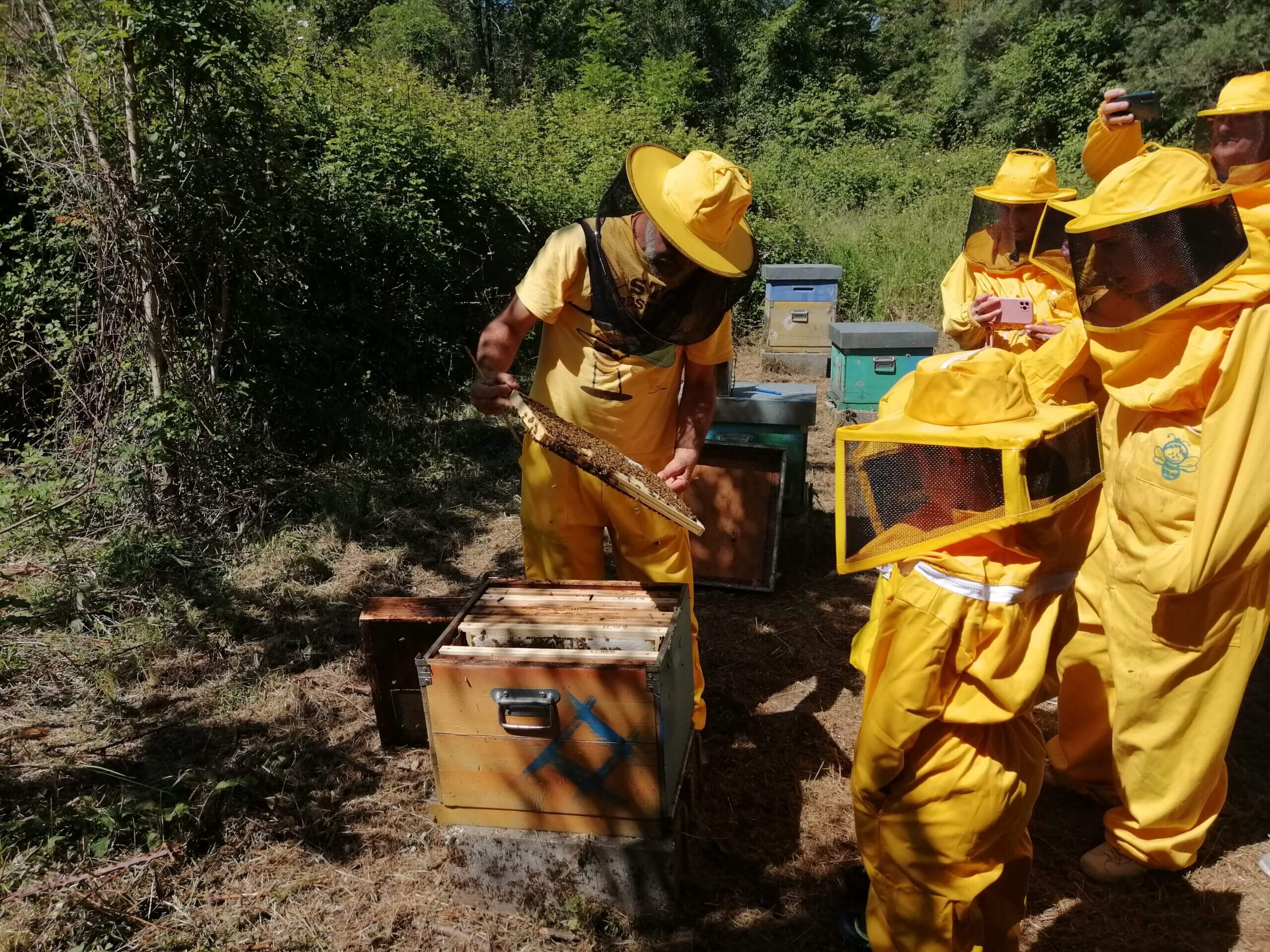 Una giornata con le api. Tante visite alla mieleria de  “Il Pungiglione”